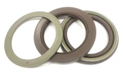 Уплотнение вала 25х45x10 TDN1 Viton 80-N03-C-C NAK